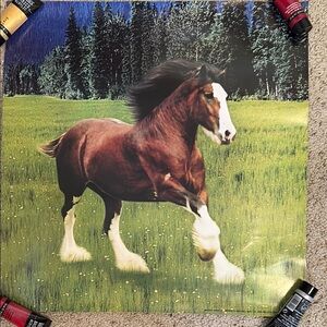 Vintage 1983 Bud Light Majestic Horse Wall Art